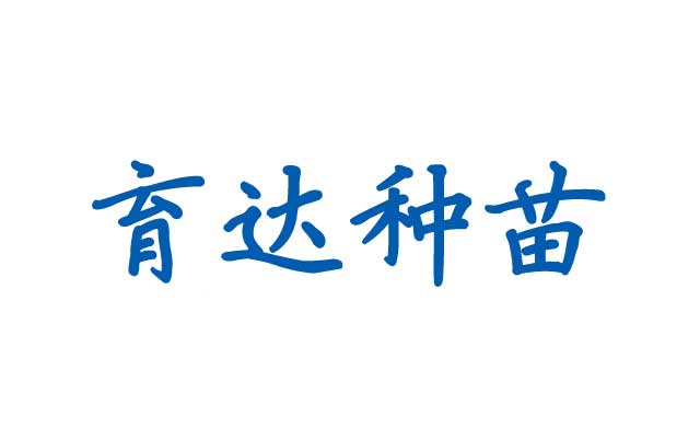 夏季运动木地板该如何保养