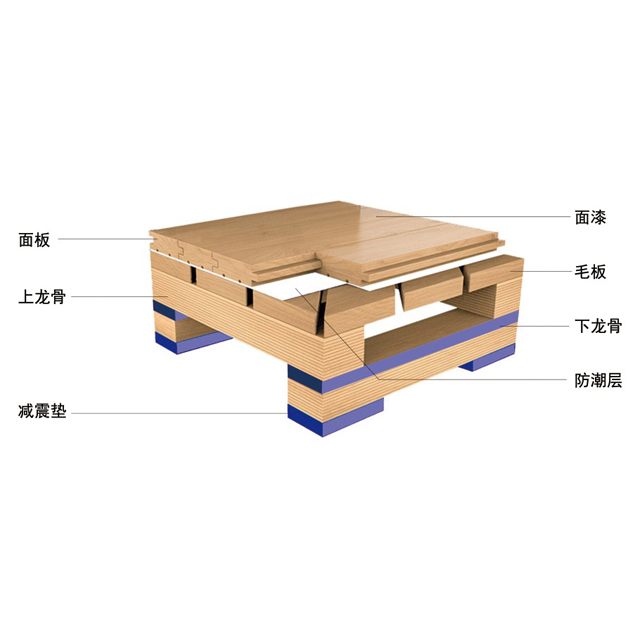 专业舞蹈型