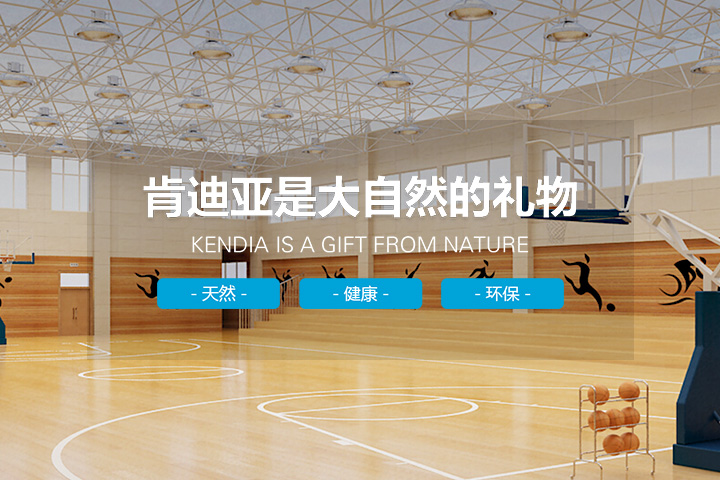 辽宁肯迪亚体育